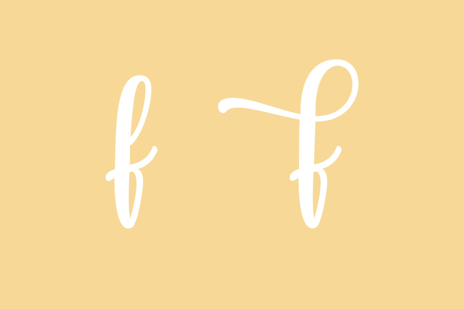 how to access pretty open type font glyphs in Adobe Illustrator on Megan Martin Creative, Freestyle Font, Creative Market, font alternates, brand, branding
